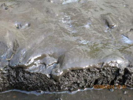 Sediment, %30 kuru madde